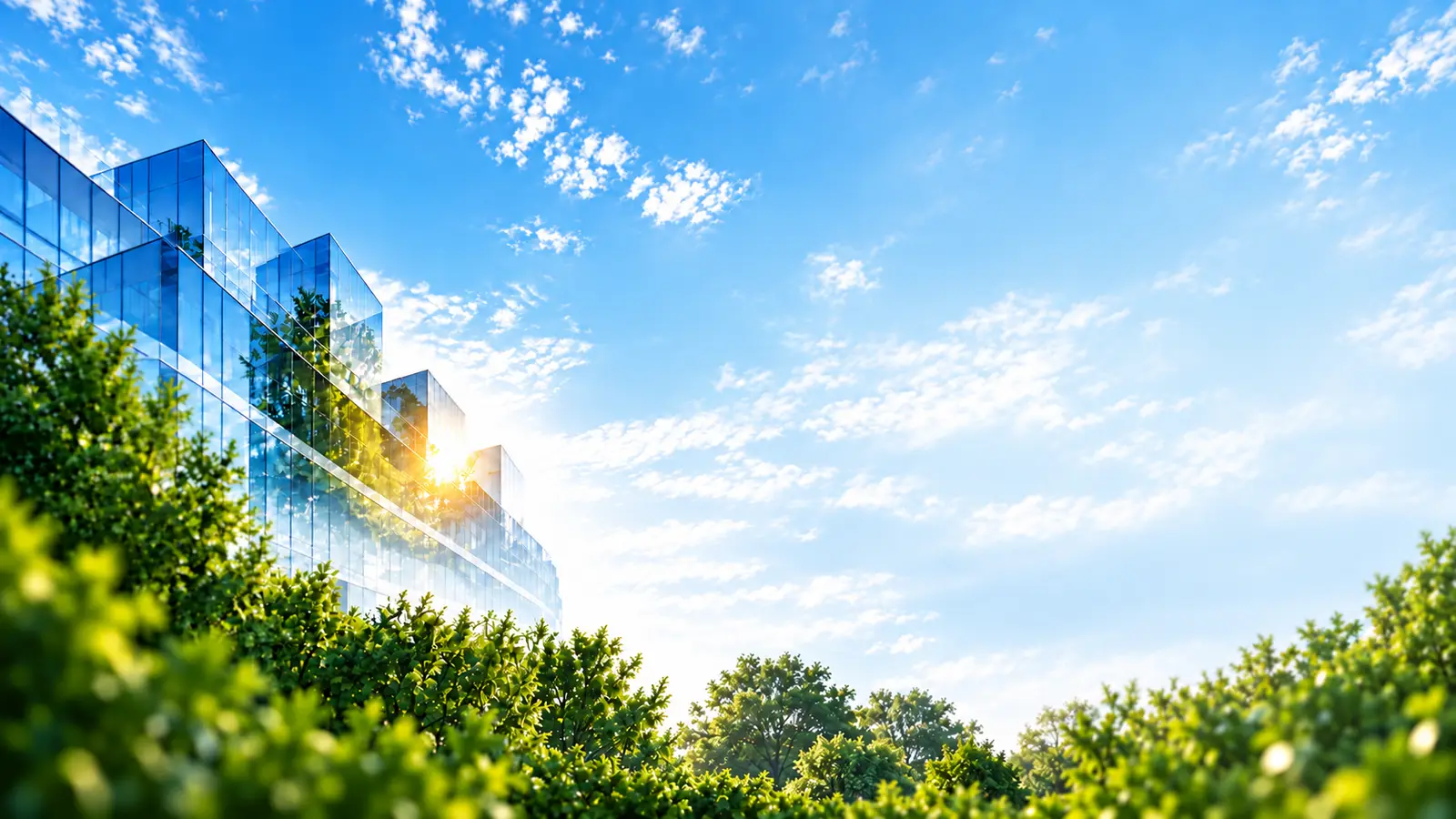 Immeuble de bureaux vitré entouré de végétation sous un ciel clair